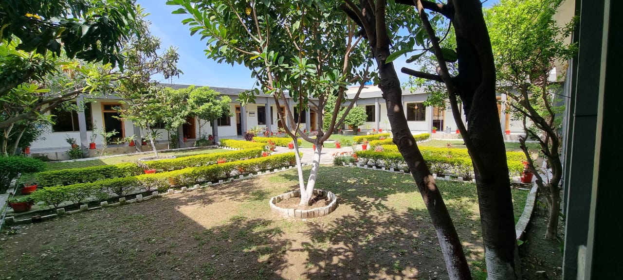 Green Lawns